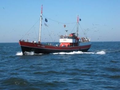 Auf dem Meer draussen